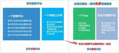 耕者為農，云為鋤——神州信息農業云的信息技術咨詢服務