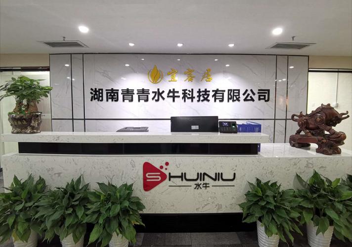 湖南青青水牛科技 信息技術(shù)咨詢服務(wù)的本地化深耕與創(chuàng)新實(shí)踐
